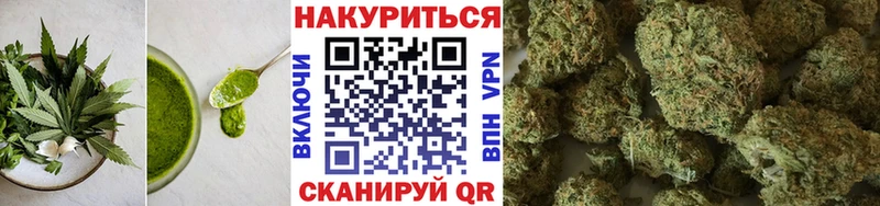 ОМГ ОМГ сайт  Шагонар  Cannafood конопля  цена  