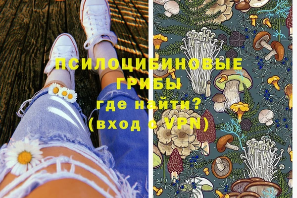 хмурый Балахна