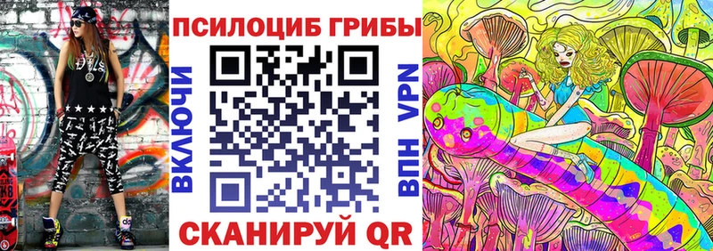 даркнет наркотические препараты  Шагонар  Псилоцибиновые грибы Cubensis  дарнет шоп 